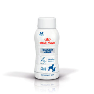 ROYAL CANIN FEL/CAN RECOVERY LIQUIDO 237 ML (AGOTADO)