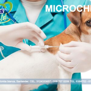 Chip de identificación