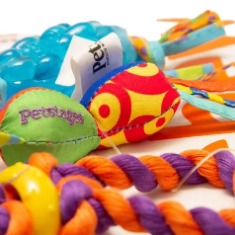 PETSTAGES PERRO MINI CHEW STARTER KIT SMALL 237 PS (AGOTADO)