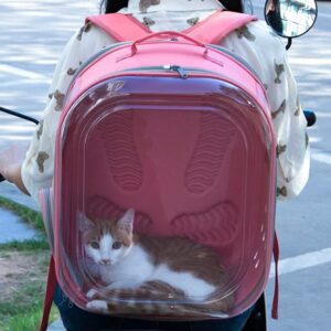 MORRAL TRANSPARENTE ROSADO