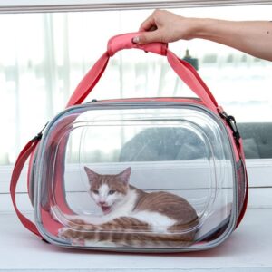 BOLSO TRANSPARENTE PLEGABLE ROSADO (AGOTADO)