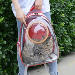 MORRAL TRANSPARENTE CON CAPSULA ROJO