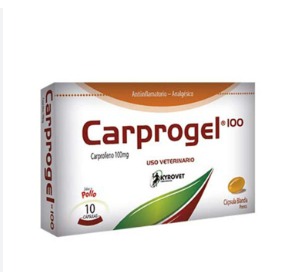 Carprogel 100 Mg Caja X 10 Caps