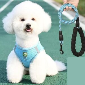 PECHERA CON TRAILLA REFLECTIVA MANGO DE GOMA TALLA L AZUL