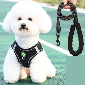 PECHERA CON TRAILLA REFLECTIVA MANGO DE GOMA TALLA L NEGRO