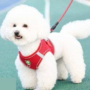 PECHERA CON TRAILLA REFLECTIVA MANGO DE GOMA TALLA L ROJO