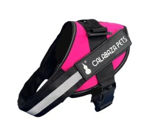 ARNES ANTITIRONES FUCSIA L (AGOTADO)