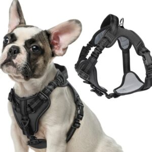 PECHERA CON ABSORCION DE IMPACTOS AMORTIGUACION EXTRA XL NEGRO (AGOTADO)