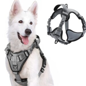 PECHERA CON ABSORCION DE IMPACTOS AMORTIGUACION EXTRA M GRIS