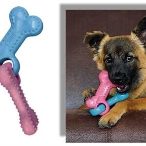 KONG PERRO CHEWSTIX PUPPY LINK BONE MD PSW26