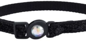 COASTAL COLLAR GATO BRILLANTE NEGRO 6723 BLK12