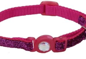 COASTAL COLLAR GATO BRILLANTE FUCSIA 6723 PNK12