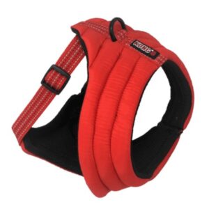 KONG ARNES COMFORT SMALL ROJO 80038311