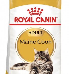 ROYAL CANIN FEL MAINE COON ADULT X 2KG
