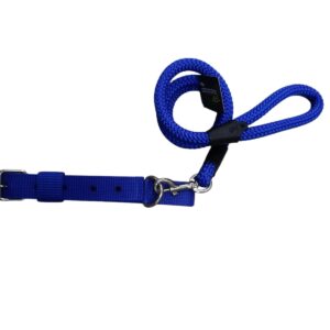 TRADILLA COLLAR GRUESO AZUL