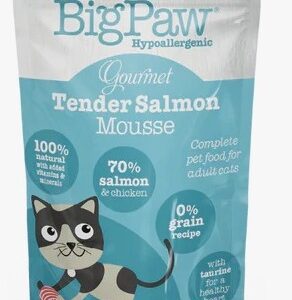 BIG PAW FEL GOURMET ATLANTIC SALMON POUCH X 85 GR