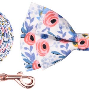 COLLAR Y TRAÍLLA MOÑO S-CORBATIN-AZUL