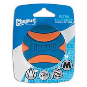 Juguete Chuckit Ultra Squeaker M