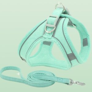 TRAÍLLA Y ARNES PA09 XS MENTA (AGOTADO)