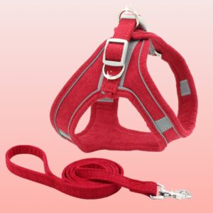 TRAÍLLA Y ARNES PA09 XS ROJO (AGOTADO)